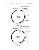 Universal Donor System For Gene Targeting diagram and image