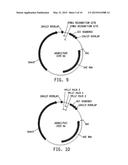 Universal Donor System For Gene Targeting diagram and image