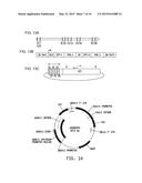 Universal Donor System For Gene Targeting diagram and image