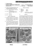 PARTICULATE WOOD PRESERVATIVE AND METHOD FOR PRODUCING THE SAME diagram and image