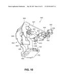 HOLDER APPARATUS FOR AVIAN BIRDS, AND ASSOCIATED METHOD diagram and image