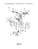 HOLDER APPARATUS FOR AVIAN BIRDS, AND ASSOCIATED METHOD diagram and image