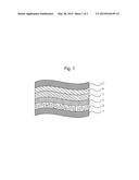 DYE-SENSITIZED SOLAR CELL HAVING CARBON NANO-WEB COATED WITH GRAPHENE AND     METHOD FOR MANUFACTURING SAME diagram and image