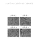 METHOD OF CLEANING RESIDUE FROM A SURFACE USING A HIGH EFFICIENCY     DISPOSABLE CELLULOSIC WIPER diagram and image