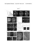 Methods and Compositions for Preparing Biological Specimens for     Microscopic Analysis diagram and image