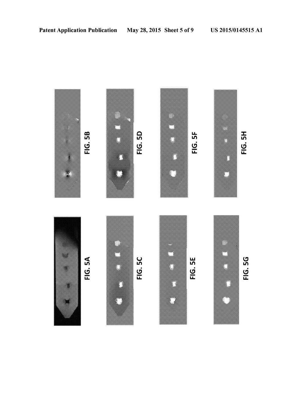 DIFFERENTIAL APPROACH TO QUANTITATIVE SUSCEPTIBILITY MAPPING WITHOUT     BACKGROUND FIELD REMOVAL - diagram, schematic, and image 06