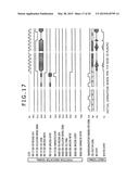 POSITION DETECTOR AND POSITION INDICATOR diagram and image