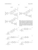 LIQUID CRYSTAL DISPLAY UNIT AND METHOD OF MANUFACTURING THE SAME diagram and image