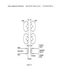 THERAPEUTICALLY USEFUL MOLECULES diagram and image