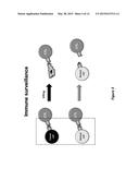 CURCUPHENOL COMPOUNDS FOR INCREASING MHC-I EXPRESSION diagram and image