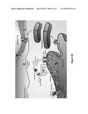 CURCUPHENOL COMPOUNDS FOR INCREASING MHC-I EXPRESSION diagram and image