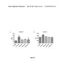 CURCUPHENOL COMPOUNDS FOR INCREASING MHC-I EXPRESSION diagram and image