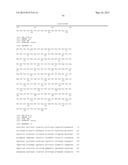 CANINIZED ANTI-NGF ANTIBODIES AND METHODS THEREOF diagram and image