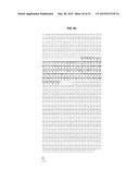 HIGH-AFFINITY MONOCLONAL ANTIBODIES TO GLYPICAN-3 AND USE THEREOF diagram and image