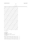 HIGH-AFFINITY MONOCLONAL ANTIBODIES TO GLYPICAN-3 AND USE THEREOF diagram and image