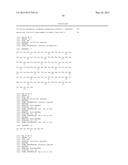 HIGH-AFFINITY MONOCLONAL ANTIBODIES TO GLYPICAN-3 AND USE THEREOF diagram and image