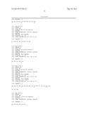 HIGH-AFFINITY MONOCLONAL ANTIBODIES TO GLYPICAN-3 AND USE THEREOF diagram and image