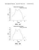 IMMUNOTHERAPY TARGETING OF THE SHARED ABNORMAL CONFORMATIONAL STATE OF     AMYLOIDOGENIC PEPTIDES/PROTEINS diagram and image