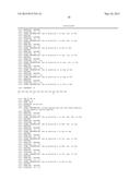 IMMUNOTHERAPY TARGETING OF THE SHARED ABNORMAL CONFORMATIONAL STATE OF     AMYLOIDOGENIC PEPTIDES/PROTEINS diagram and image