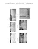 Biomatrix Hydrogels and Methods of Use Thereof diagram and image