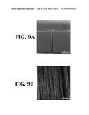 METHOD FOR ENHANCING GROWTH OF CARBON NANOTUBES ON SUBSTRATES diagram and image