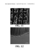 METHOD FOR ENHANCING GROWTH OF CARBON NANOTUBES ON SUBSTRATES diagram and image