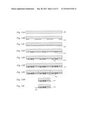 CHEMICALLY STRENGTHENED GLASS PLATE, COVER GLASS, CHEMICALLY STRENGTHENED     GLASS WITH TOUCH SENSOR, AND DISPLAY DEVICE diagram and image