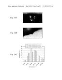 CHEMICALLY STRENGTHENED GLASS PLATE, COVER GLASS, CHEMICALLY STRENGTHENED     GLASS WITH TOUCH SENSOR, AND DISPLAY DEVICE diagram and image