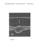 NANOFIBER RIBBONS AND SHEETS AND FABRICATION AND APPLICATION THEREOF diagram and image