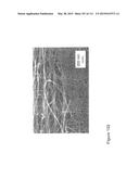 NANOFIBER RIBBONS AND SHEETS AND FABRICATION AND APPLICATION THEREOF diagram and image