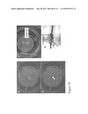 NANOFIBER RIBBONS AND SHEETS AND FABRICATION AND APPLICATION THEREOF diagram and image