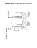 BAG3 AS BIOCHEMICAL SERUM AND TISSUE MARKER diagram and image