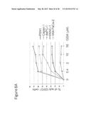 BAG3 AS BIOCHEMICAL SERUM AND TISSUE MARKER diagram and image