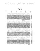 LIGHT-INDUCIBLE PROMOTER AND GENE EXPRESSION SYSTEM CONTAINING SAME diagram and image