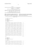 LIGHT-INDUCIBLE PROMOTER AND GENE EXPRESSION SYSTEM CONTAINING SAME diagram and image