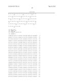 LIGHT-INDUCIBLE PROMOTER AND GENE EXPRESSION SYSTEM CONTAINING SAME diagram and image