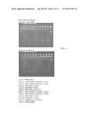 METHODS AND MATERIALS FOR INCREASING POTENCY OF CELLS diagram and image