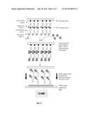 SPATIAL MOLECULAR BARCODING OF IN SITU NUCLEIC ACIDS diagram and image