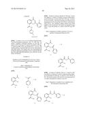 CHROMENONE ANALOGS AS SIRTUIN MODULATORS diagram and image