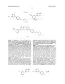 NOVEL POLYMORPHIC FORMS OF     3-(1--6-OXO-1,6-DIHYDRO-PYRIDAZIN-3-YL)-BENZONITRILE HYDROCHLORIDE SALT     AND PROCESSES OF MANUFACTURING THEREOF diagram and image