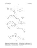 NOVEL POLYMORPHIC FORMS OF     3-(1--6-OXO-1,6-DIHYDRO-PYRIDAZIN-3-YL)-BENZONITRILE HYDROCHLORIDE SALT     AND PROCESSES OF MANUFACTURING THEREOF diagram and image