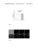 Methods for Treating or Preventing Brain Infections diagram and image