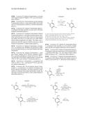 2,5-DIALKYL-4-H/HALO/ETHER-PHENOL COMPOUNDS diagram and image