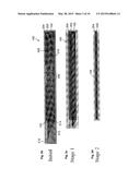 NEURO-PROBE DEVICE, IMPLANTABLE ELECTRONIC DEVICE AND METHOD OF FORMING A     NEURO-PROBE DEVICE diagram and image