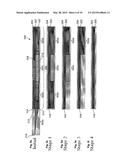 NEURO-PROBE DEVICE, IMPLANTABLE ELECTRONIC DEVICE AND METHOD OF FORMING A     NEURO-PROBE DEVICE diagram and image