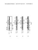 NEURO-PROBE DEVICE, IMPLANTABLE ELECTRONIC DEVICE AND METHOD OF FORMING A     NEURO-PROBE DEVICE diagram and image