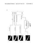 ULTRASONOGRAPHIC IMAGES PROCESSING diagram and image