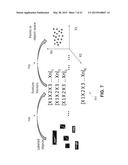 ULTRASONOGRAPHIC IMAGES PROCESSING diagram and image