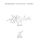 FUSION CAGE WITH COMBINED BIOLOGICAL DELIVERY SYSTEM diagram and image