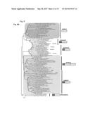 PREPHENATE DEHYDROGENASES AND AROGENATE DEHYDROGENASES THAT ARE     INSENSITIVE TO EFFECTOR FEEDBACK INHIBITION AND METHODS OF USING THE SAME diagram and image